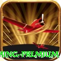 5y5y - Gaming Premium