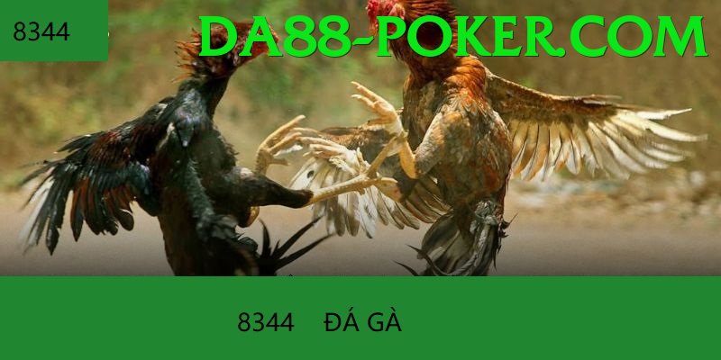 Trường Đấu Đá Gà Chuyên Nghiệp - Thông báo