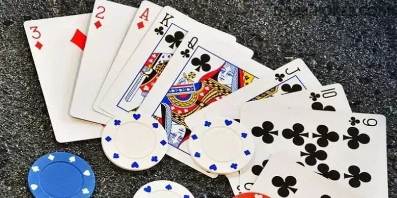 585bet multi dispositivo